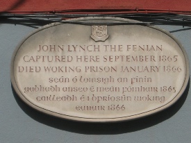 John Lynch